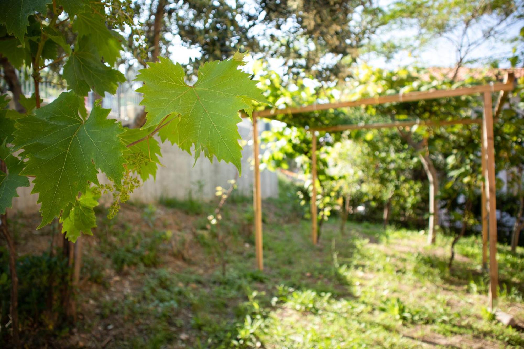 Sogno Di Mare Apartment Ortona Exterior photo